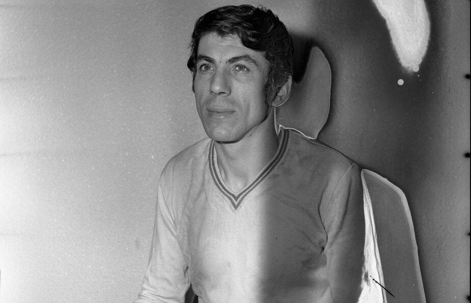 nicolae lupescu