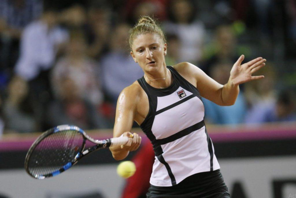 irina begu