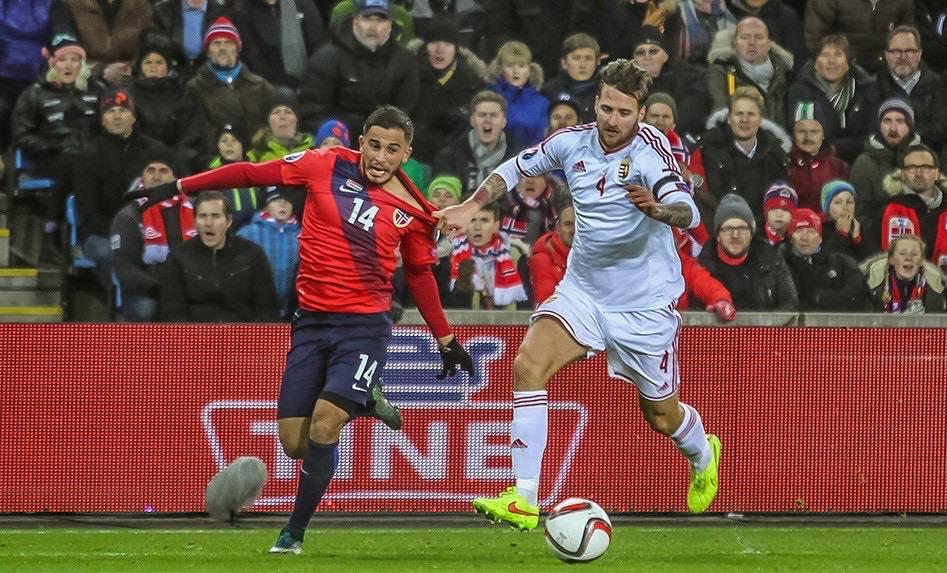 17458369_1231210836998511_3567632425963512388_n