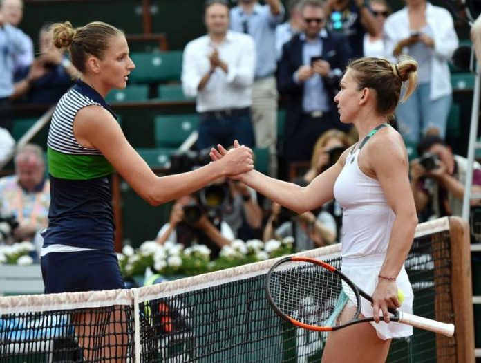 pliskova simona halep