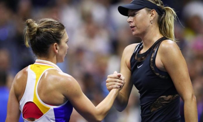 sarapova halep