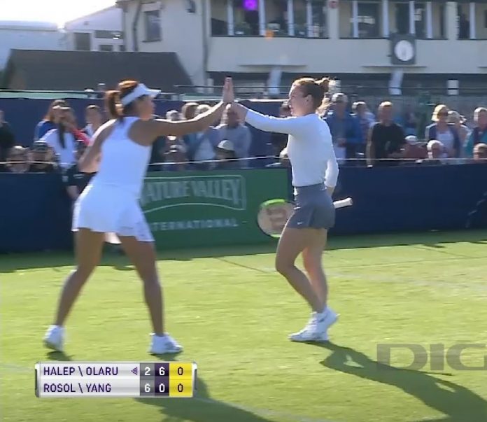 halep olaru