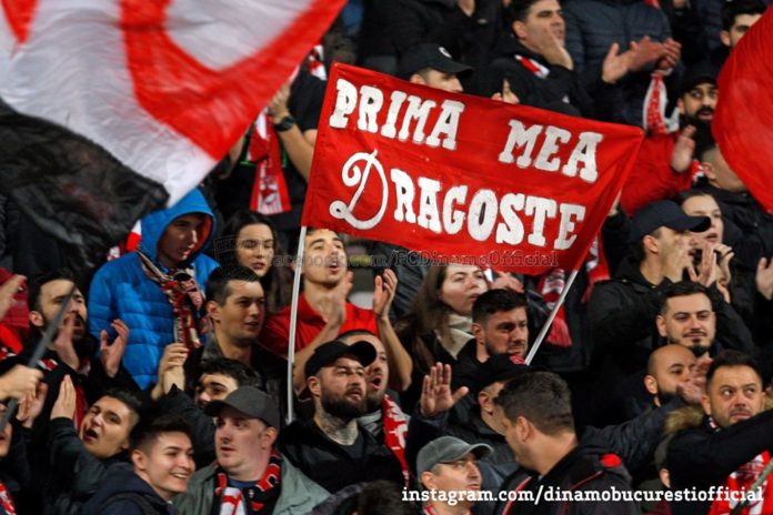 dinamo fani