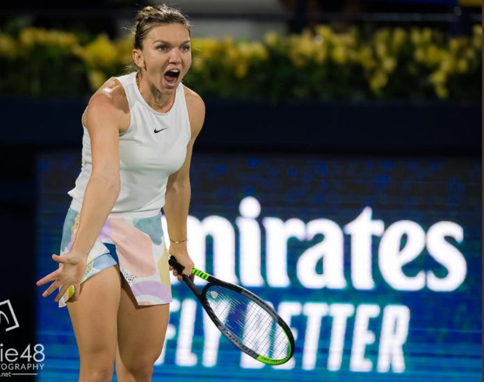 halep dubai halep dubai
