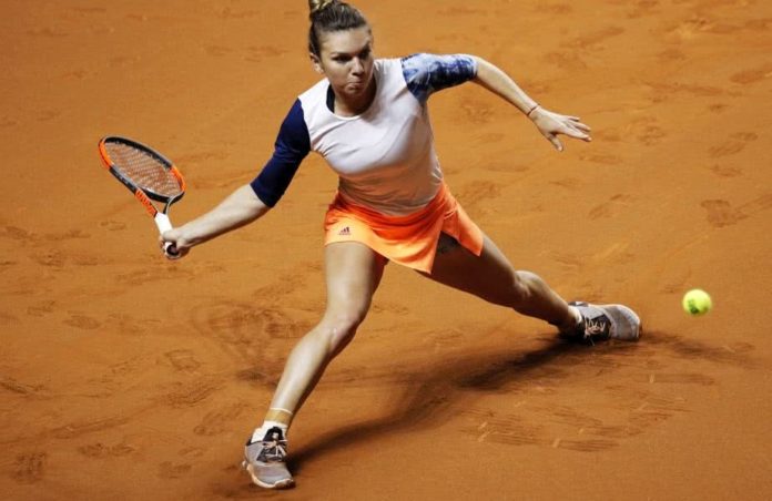halep-stuttgart