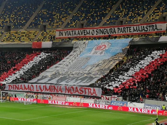 dinamo fani