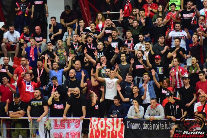 fani dinamo