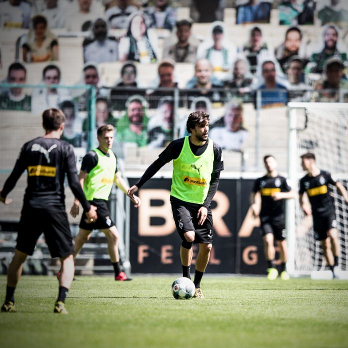 fani gladbach2