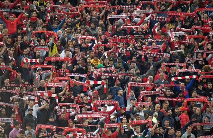 fani dinamo