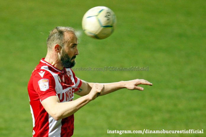 Dinamo, puljic