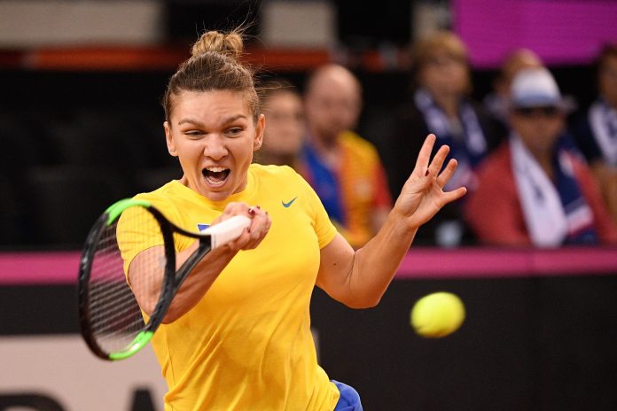 Tennis - Fed Cup semi final - France vs Romania simona
