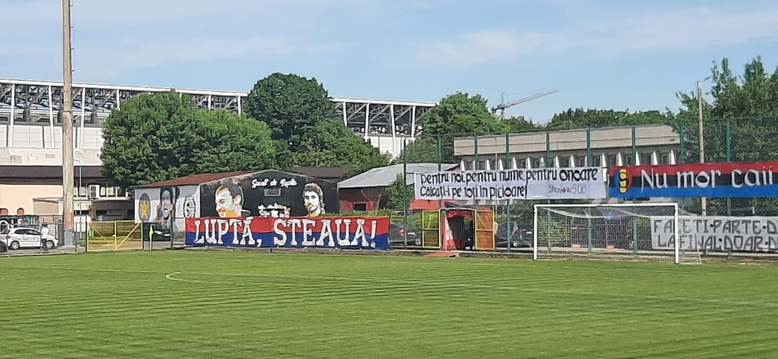 steaua