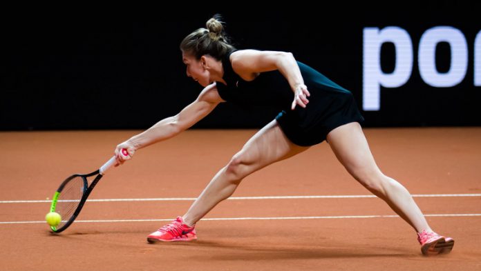 halep tenis
